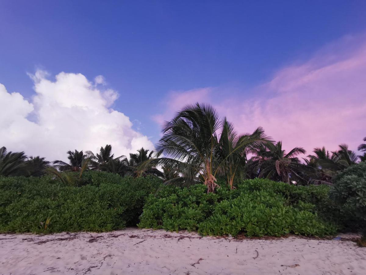 Aqua Oasis Hotel Thoddoo Kültér fotó